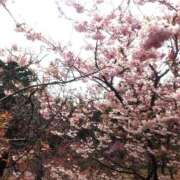 二階堂ちか [お題]from:リンゴさん ウフフな40。ムフフな50。。（横浜ハレ系）