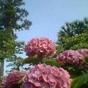 ヒメ日記 2026/08/12 06:09 投稿 二階堂ちか ウフフな40。ムフフな50。。（横浜ハレ系）