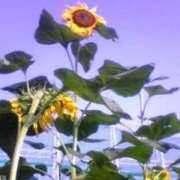 ヒメ日記 2026/08/14 16:55 投稿 二階堂ちか ウフフな40。ムフフな50。。（横浜ハレ系）