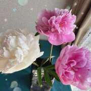 ヒメ日記 2025/05/03 13:15 投稿 阿部あきの ウフフな40。ムフフな50。。（横浜ハレ系）