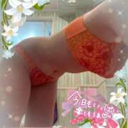 ヒメ日記 2025/06/19 06:15 投稿 阿部あきの ウフフな40。ムフフな50。。（横浜ハレ系）