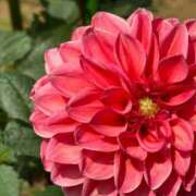 ヒメ日記 2025/07/17 06:30 投稿 阿部あきの ウフフな40。ムフフな50。。（横浜ハレ系）