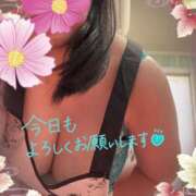 ヒメ日記 2025/09/11 06:00 投稿 阿部あきの ウフフな40。ムフフな50。。（横浜ハレ系）