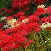 ヒメ日記 2025/10/08 12:30 投稿 阿部あきの ウフフな40。ムフフな50。。（横浜ハレ系）