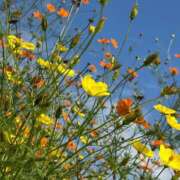 ヒメ日記 2025/10/10 10:10 投稿 阿部あきの ウフフな40。ムフフな50。。（横浜ハレ系）