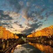 ヒメ日記 2025/11/17 12:15 投稿 阿部あきの ウフフな40。ムフフな50。。（横浜ハレ系）