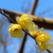 ヒメ日記 2025/12/31 11:30 投稿 阿部あきの ウフフな40。ムフフな50。。（横浜ハレ系）