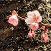 ヒメ日記 2026/02/24 06:15 投稿 阿部あきの ウフフな40。ムフフな50。。（横浜ハレ系）