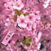 ヒメ日記 2026/02/28 12:15 投稿 阿部あきの ウフフな40。ムフフな50。。（横浜ハレ系）