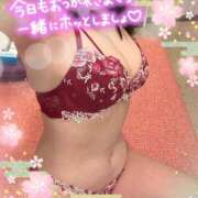 阿部あきの 雨の雛祭り🎎✨ ウフフな40。ムフフな50。。（横浜ハレ系）