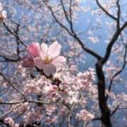 ヒメ日記 2026/03/27 12:31 投稿 阿部あきの ウフフな40。ムフフな50。。（横浜ハレ系）