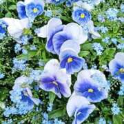 ヒメ日記 2026/04/29 12:45 投稿 阿部あきの ウフフな40。ムフフな50。。（横浜ハレ系）