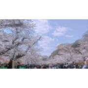 ヒメ日記 2025/04/05 14:59 投稿 土屋かりん ウフフな40。ムフフな50。。（横浜ハレ系）