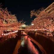 ヒメ日記 2025/04/07 07:40 投稿 土屋かりん ウフフな40。ムフフな50。。（横浜ハレ系）