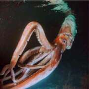 ヒメ日記 2025/04/22 08:47 投稿 土屋かりん ウフフな40。ムフフな50。。（横浜ハレ系）