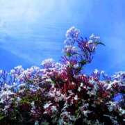 ヒメ日記 2025/05/04 20:04 投稿 土屋かりん ウフフな40。ムフフな50。。（横浜ハレ系）