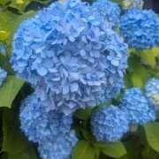 ヒメ日記 2025/05/29 07:46 投稿 土屋かりん ウフフな40。ムフフな50。。（横浜ハレ系）