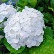 ヒメ日記 2025/06/13 17:05 投稿 土屋かりん ウフフな40。ムフフな50。。（横浜ハレ系）