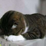 ヒメ日記 2025/07/01 17:09 投稿 土屋かりん ウフフな40。ムフフな50。。（横浜ハレ系）