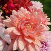 ヒメ日記 2025/07/02 19:25 投稿 土屋かりん ウフフな40。ムフフな50。。（横浜ハレ系）