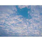 ヒメ日記 2025/07/05 18:33 投稿 土屋かりん ウフフな40。ムフフな50。。（横浜ハレ系）