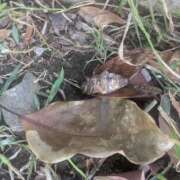 ヒメ日記 2025/09/22 12:02 投稿 土屋かりん ウフフな40。ムフフな50。。（横浜ハレ系）