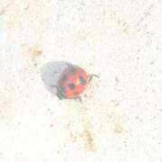 ヒメ日記 2025/11/17 12:14 投稿 土屋かりん ウフフな40。ムフフな50。。（横浜ハレ系）