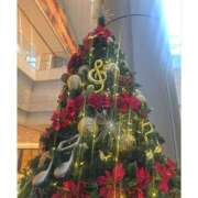 ヒメ日記 2025/11/18 15:43 投稿 土屋かりん ウフフな40。ムフフな50。。（横浜ハレ系）