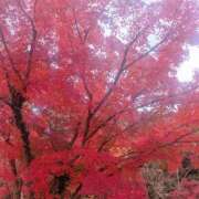 ヒメ日記 2025/11/23 13:45 投稿 土屋かりん ウフフな40。ムフフな50。。（横浜ハレ系）