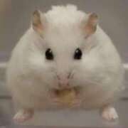 ヒメ日記 2025/11/25 22:12 投稿 土屋かりん ウフフな40。ムフフな50。。（横浜ハレ系）