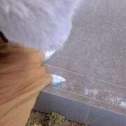 ヒメ日記 2025/12/05 14:30 投稿 土屋かりん ウフフな40。ムフフな50。。（横浜ハレ系）