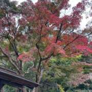 ヒメ日記 2025/11/13 09:02 投稿 夏川みなみ ウフフな40。ムフフな50。。（横浜ハレ系）