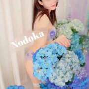 ヒメ日記 2025/06/30 21:02 投稿 のどか 東京妻