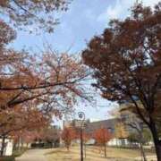 ヒメ日記 2025/12/06 12:46 投稿 りさ 快楽玉乱堂