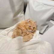 ヒメ日記 2026/01/06 22:05 投稿 しずく 大宮人妻デリヘル～大人の事情～