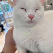 ヒメ日記 2026/02/22 20:15 投稿 しずく 大宮人妻デリヘル～大人の事情～