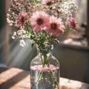 ヒメ日記 2026/02/27 00:02 投稿 しずく 大宮人妻デリヘル～大人の事情～