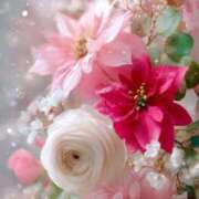 ヒメ日記 2026/03/03 22:05 投稿 しずく 大宮人妻デリヘル～大人の事情～