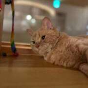 ヒメ日記 2026/03/05 22:38 投稿 しずく 大宮人妻デリヘル～大人の事情～