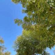 ヒメ日記 2026/03/10 14:20 投稿 しずく 大宮人妻デリヘル～大人の事情～