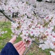 ヒメ日記 2026/03/30 23:15 投稿 しずく 大宮人妻デリヘル～大人の事情～