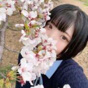 ヒメ日記 2026/04/03 12:16 投稿 しずく 大宮人妻デリヘル～大人の事情～