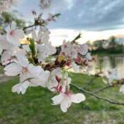 ヒメ日記 2026/04/05 23:05 投稿 しずく 大宮人妻デリヘル～大人の事情～