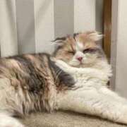 ヒメ日記 2026/04/26 22:45 投稿 しずく 大宮人妻デリヘル～大人の事情～