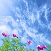 ヒメ日記 2026/10/10 12:05 投稿 しずく 大宮人妻デリヘル～大人の事情～