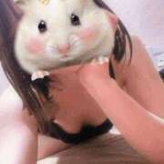 ヒメ日記 2025/04/11 11:16 投稿 とも 快楽玉乱堂