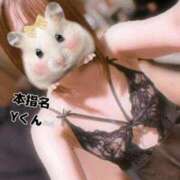 ヒメ日記 2025/04/12 23:16 投稿 とも 快楽玉乱堂