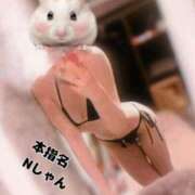 ヒメ日記 2025/05/31 02:06 投稿 とも 快楽玉乱堂