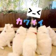 ヒメ日記 2025/11/09 22:26 投稿 とも 快楽玉乱堂