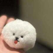 ヒメ日記 2026/01/12 00:01 投稿 とも 快楽玉乱堂